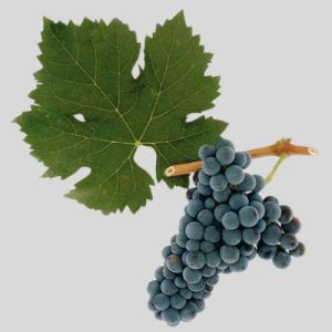 Ital aroma - Cabernet Sauvignon - 80 g