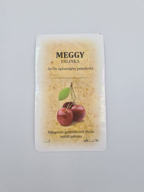 meggy-1-scaled-1.jpg